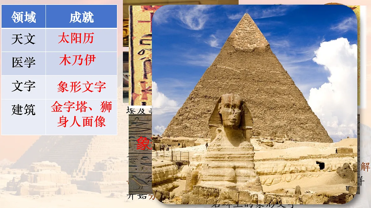 17272669第8页