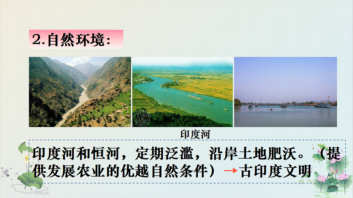 17272670第8页