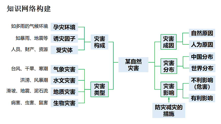 17274075第4页