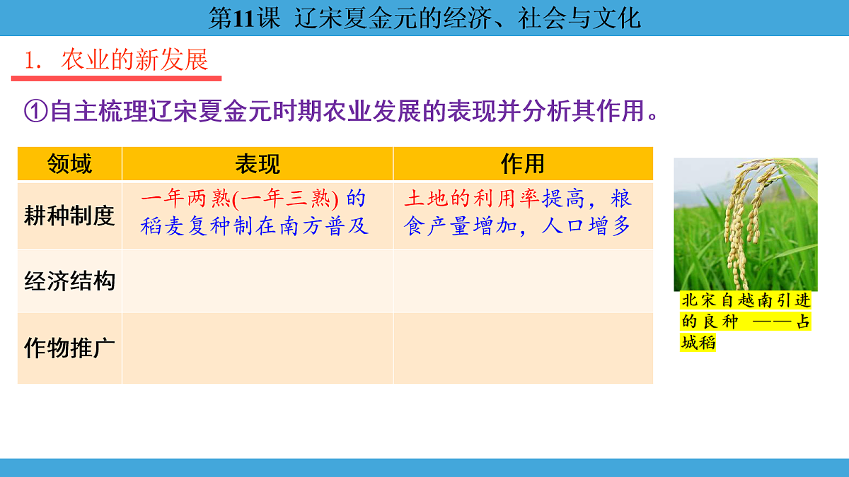 17274108第7页