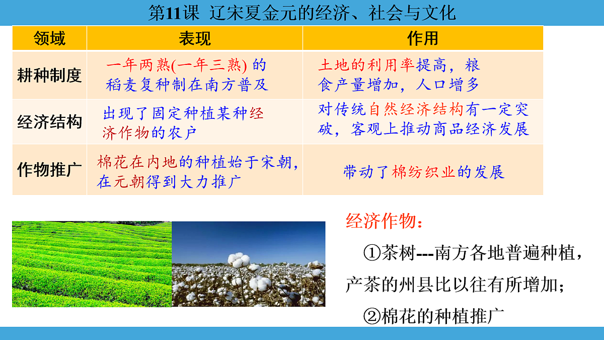 17274108第8页