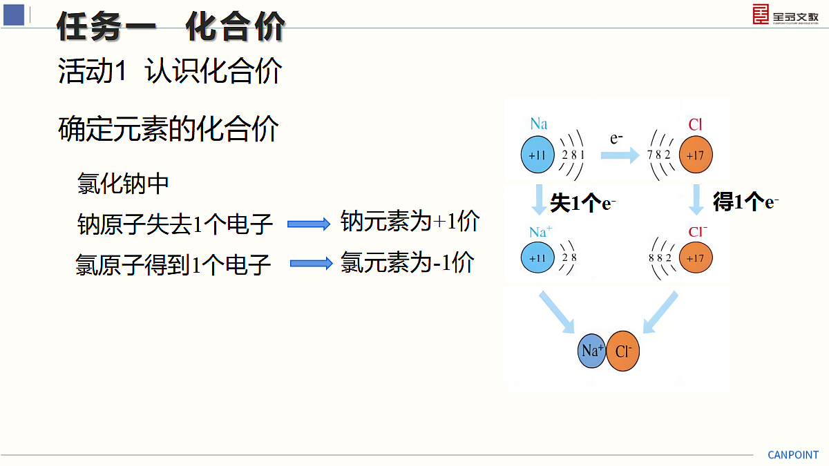 17274125第5页