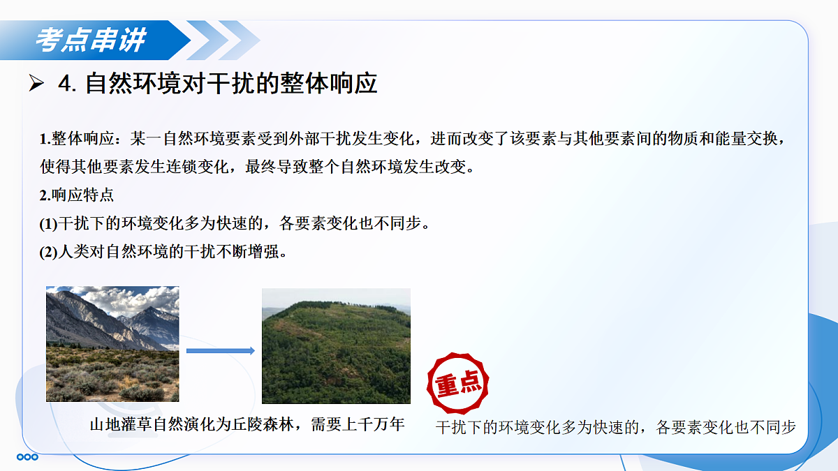 17274384第8页