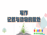 统编版语文（2025秋）七年级上册 第五单元写作 同步课件