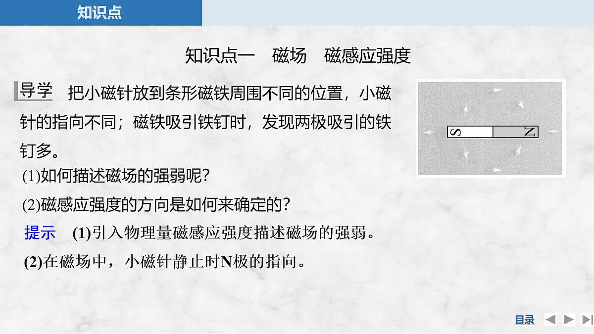 17275884第5页