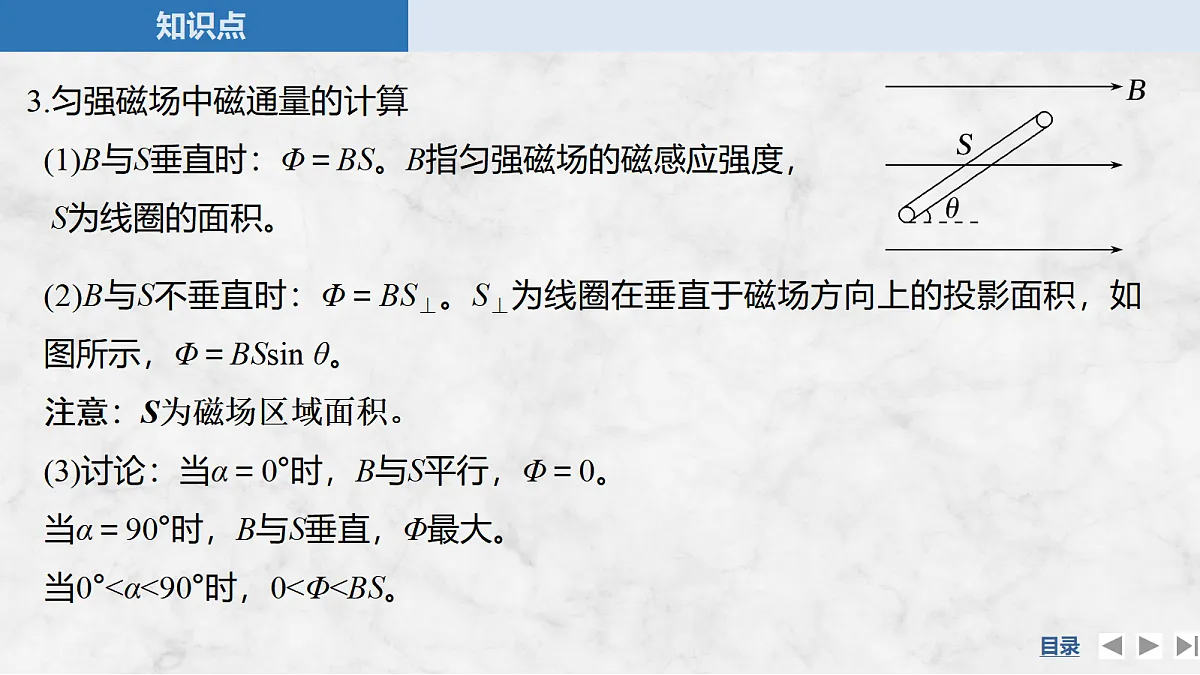 17275885第8页