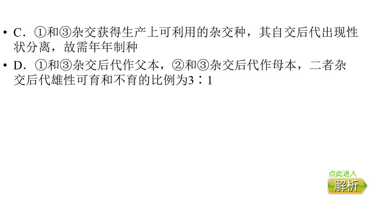 17275978第5页