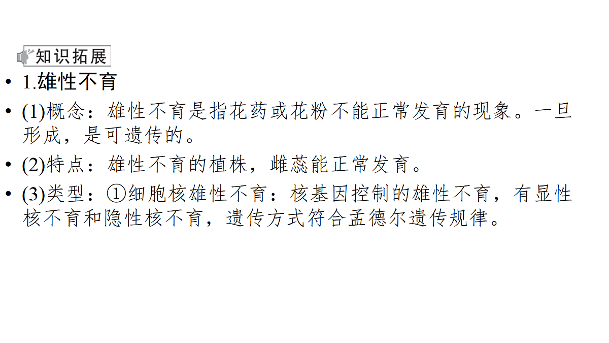 17275978第7页