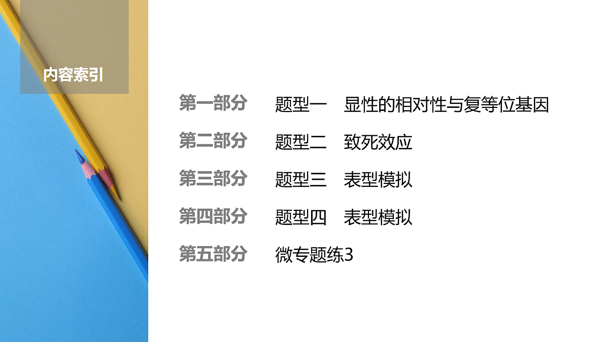 17275979第2页