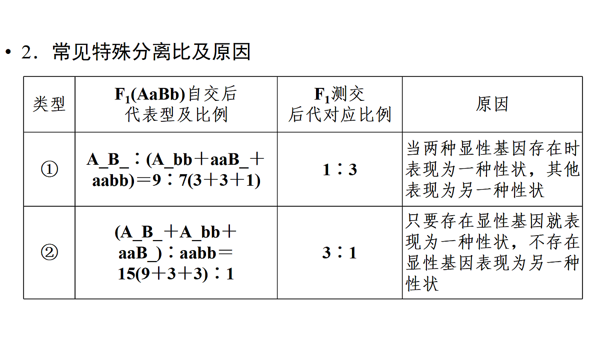 17275980第8页