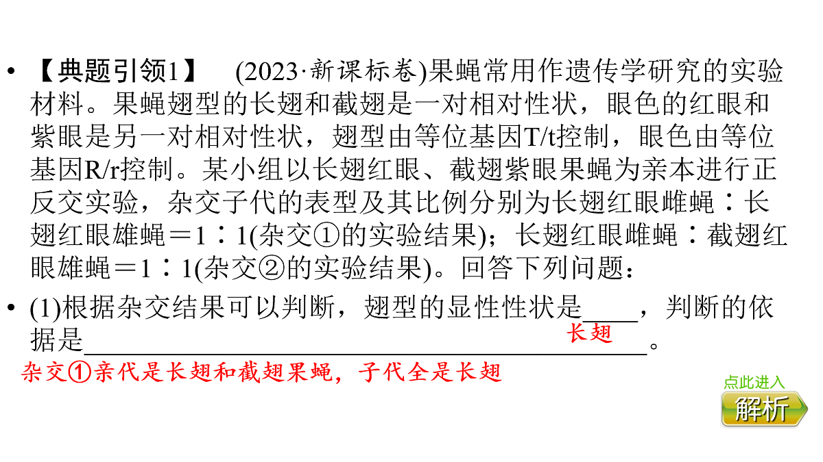 17275981第4页