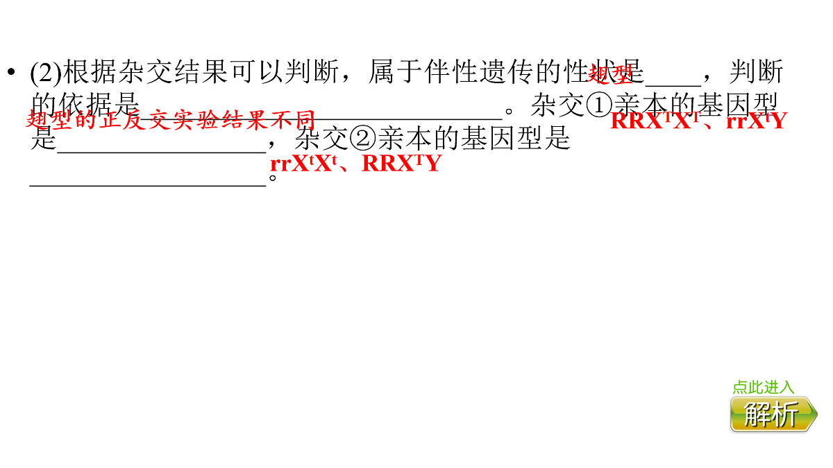 17275981第6页
