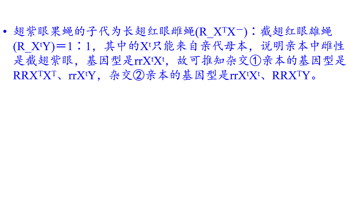 17275981第8页