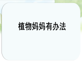 统编版二年级语文上册课件《3 植物妈妈有办法》