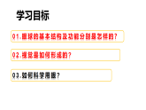 4.6.1 人体对外界环境的感知第一课时眼和视觉（教学课件）生物人教版2024八年级上册