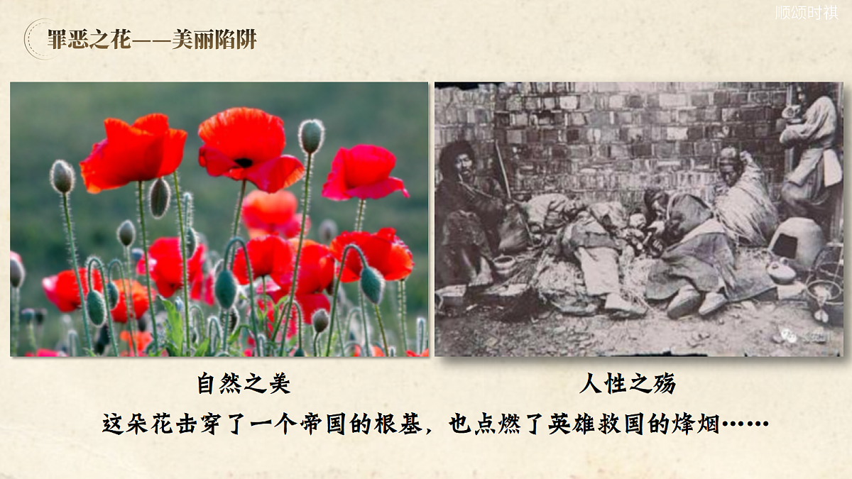 17276690第1页