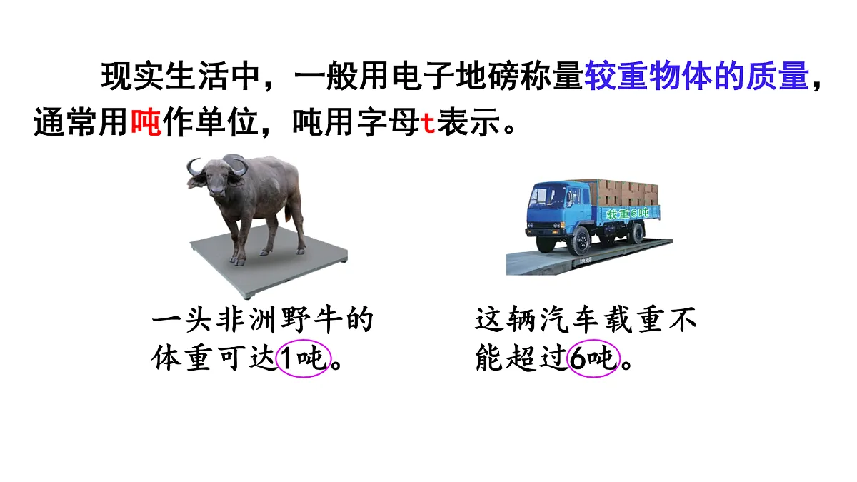 17277212第2页