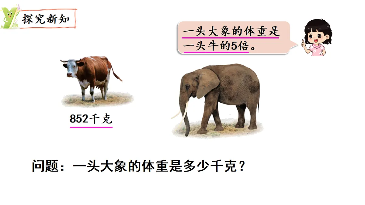 17277357第3页