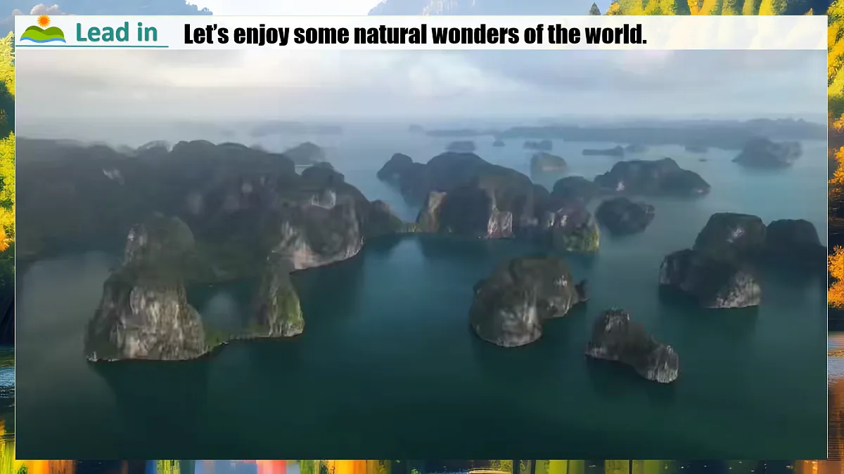 17278358第4页