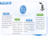 1.3.4 单细胞生物（教学课件）-2025-2026学年七年级生物上册（人教版2024）