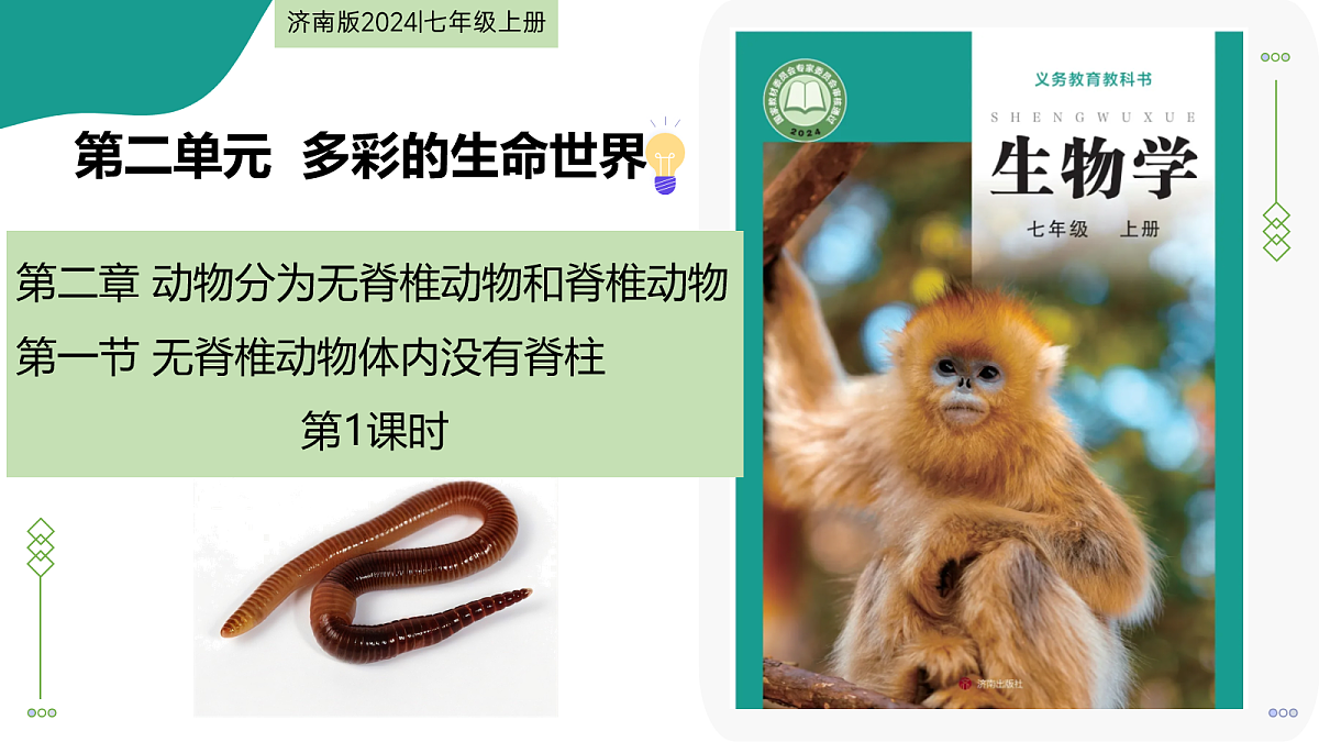17278702第1页