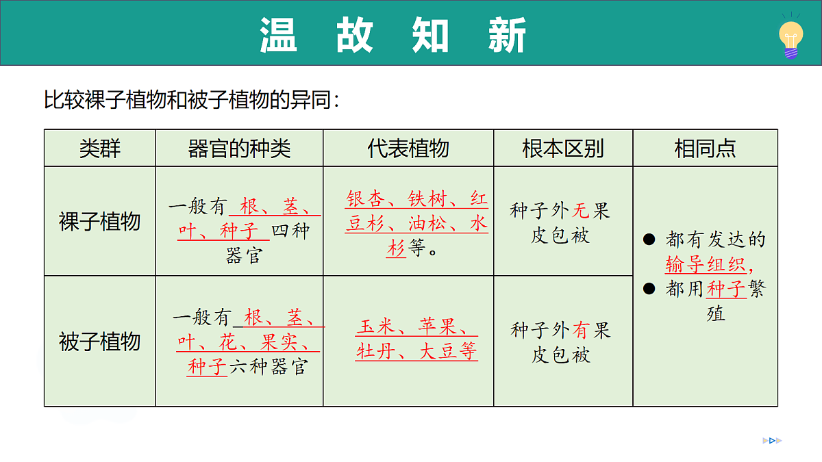 17278702第2页