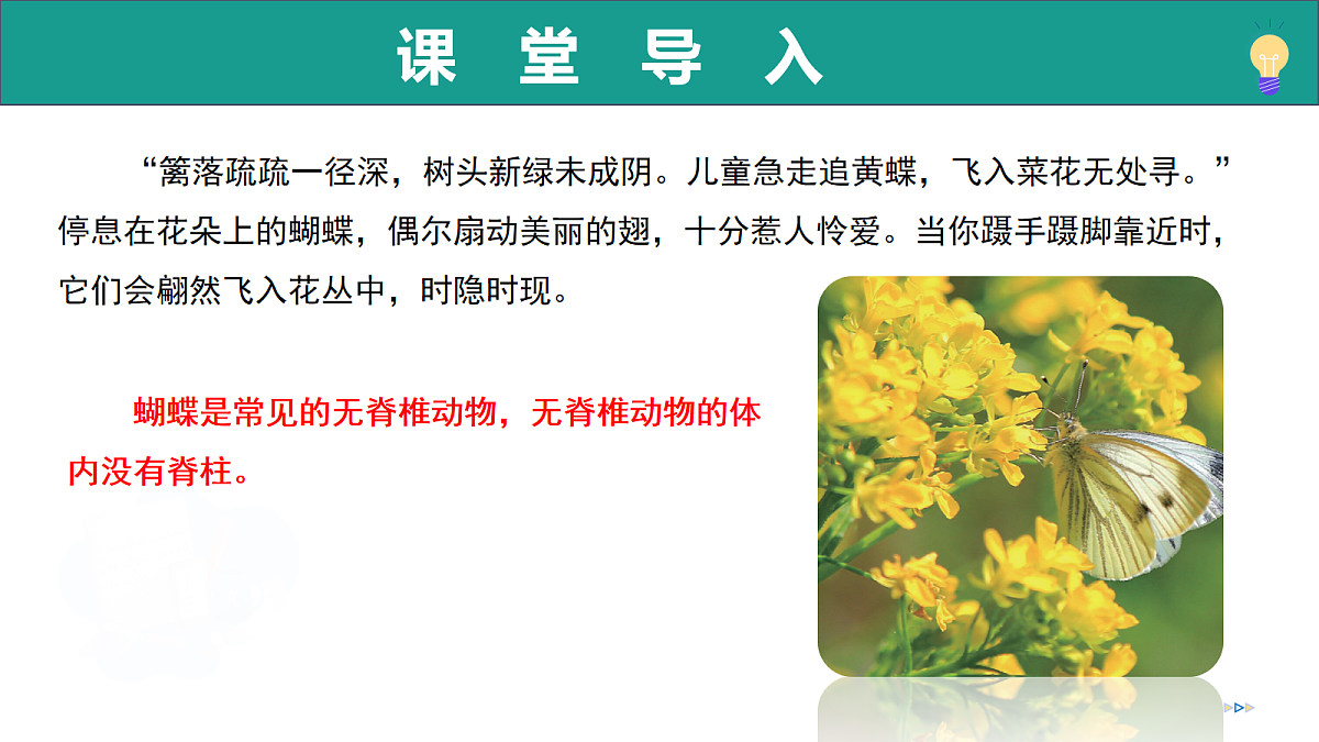 17278702第4页