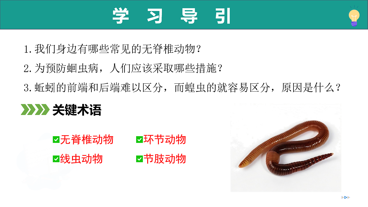 17278702第5页