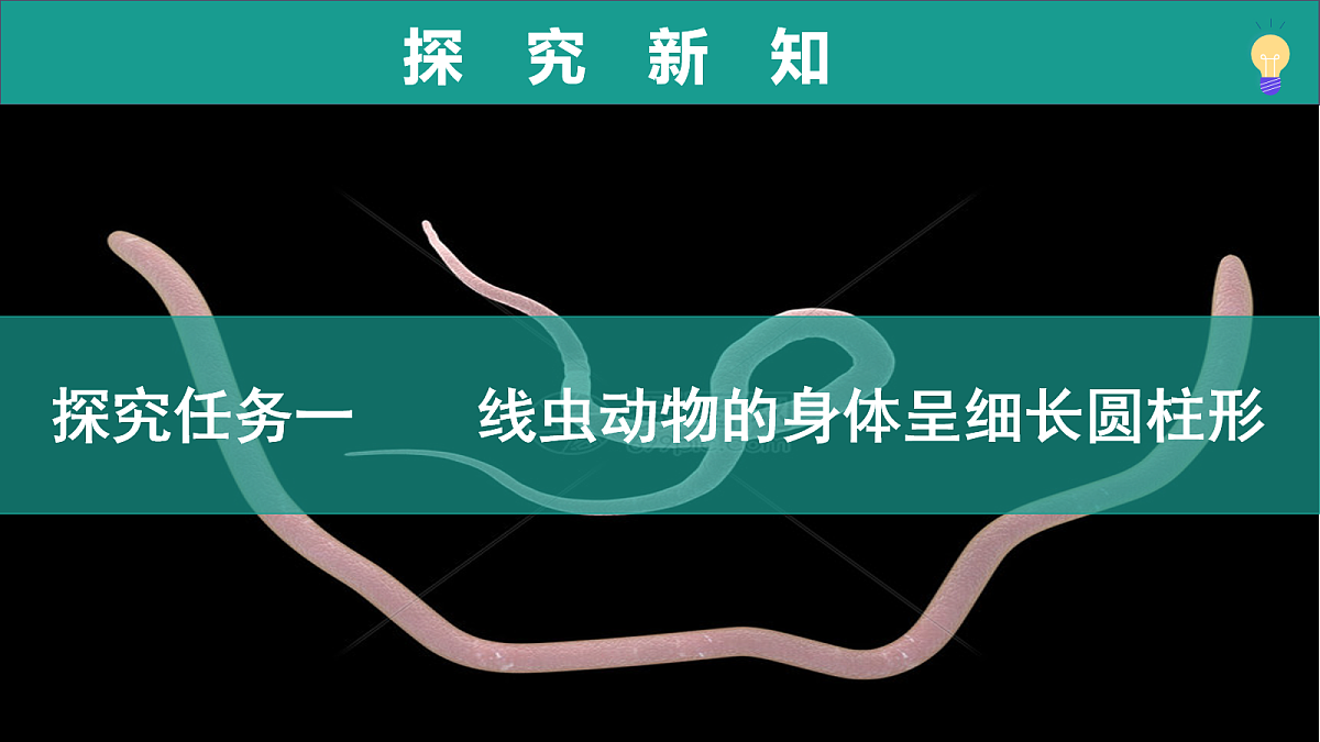 17278702第6页