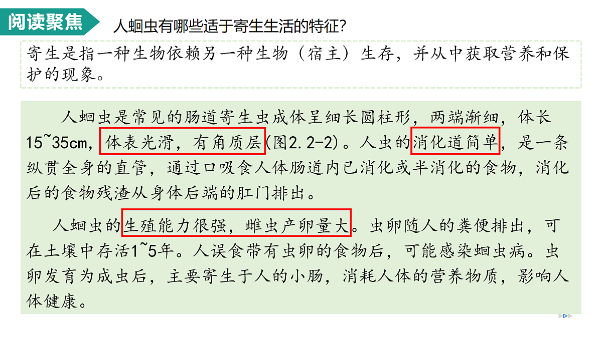 17278702第7页