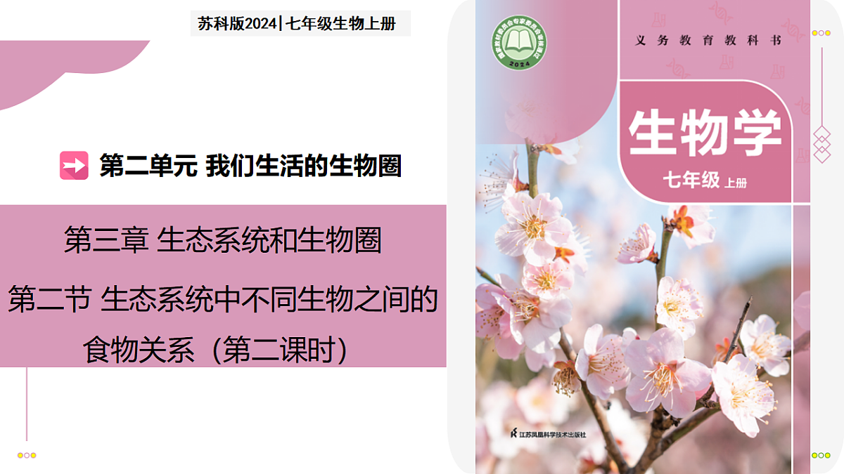 17278703第1页