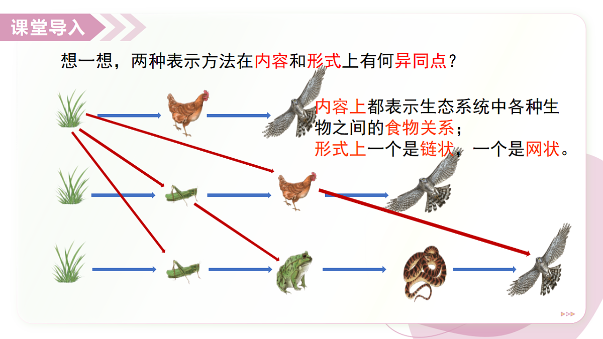17278703第3页