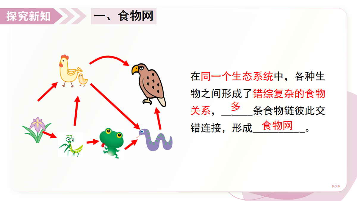 17278703第4页