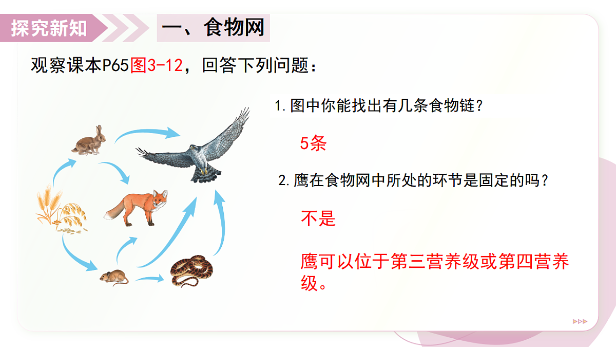 17278703第5页
