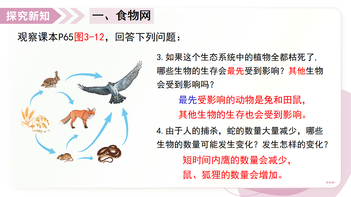 17278703第6页