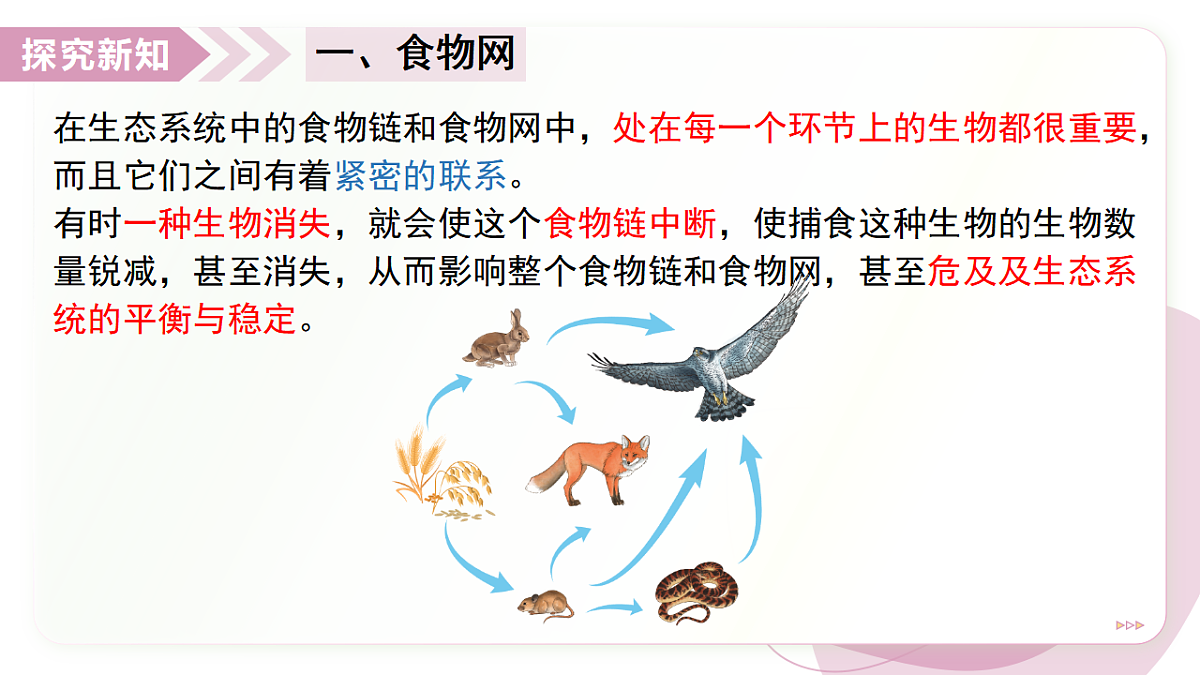 17278703第7页