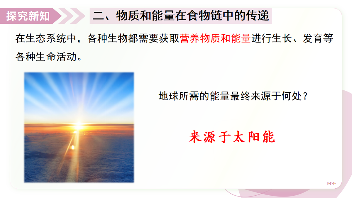 17278703第8页