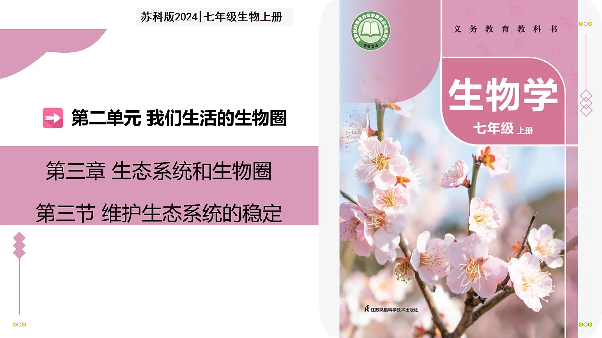 17278704第1页