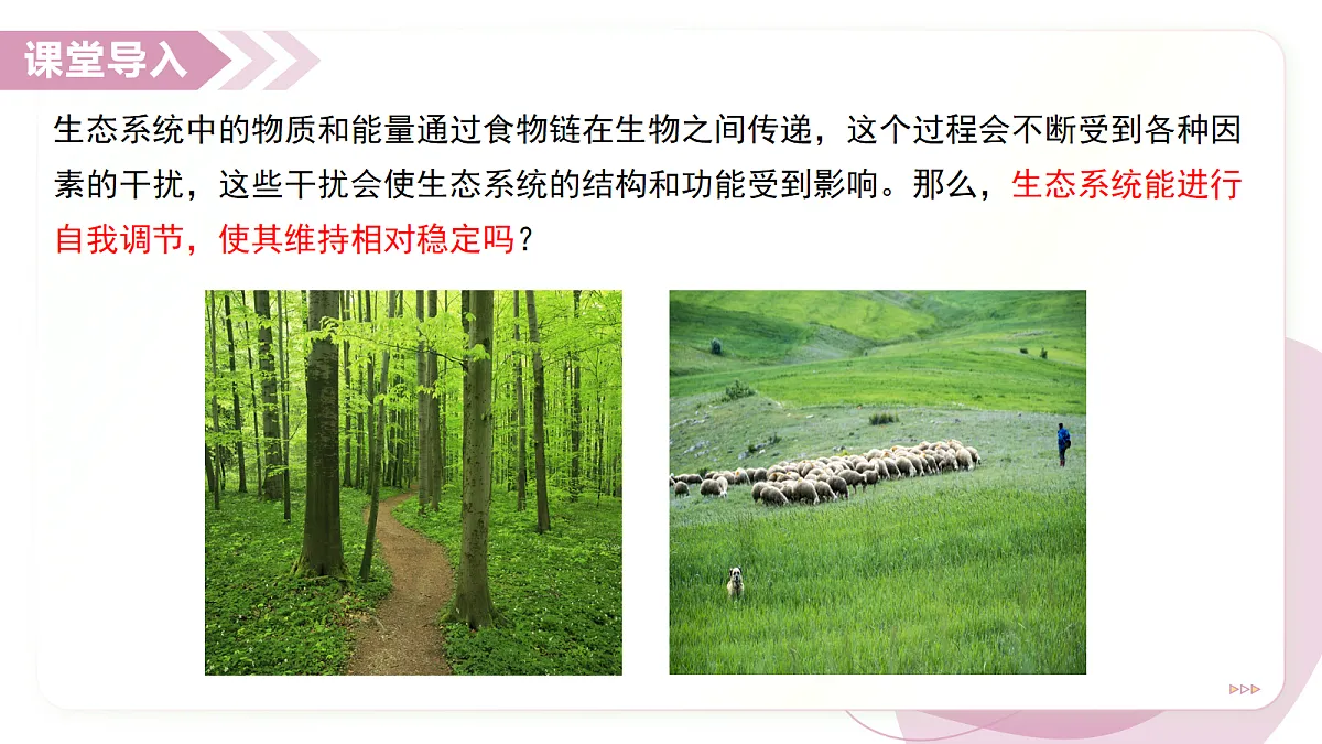 17278704第3页