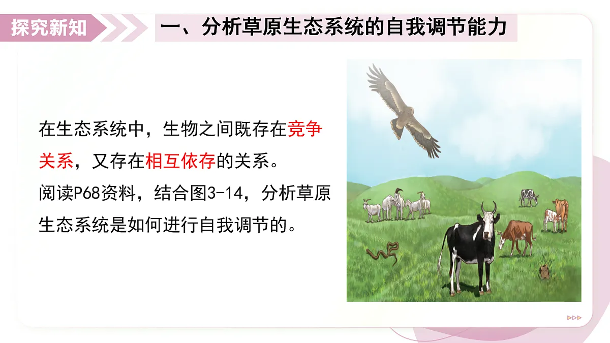 17278704第4页