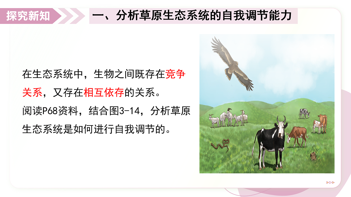 17278704第4页