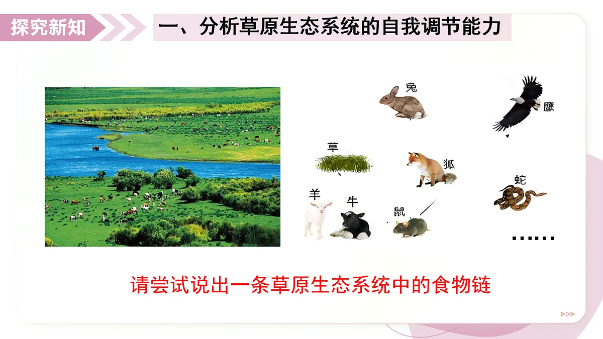17278704第5页