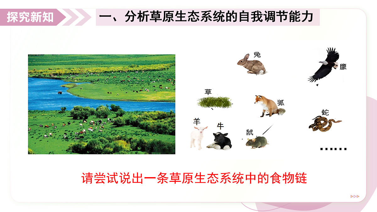 17278704第5页