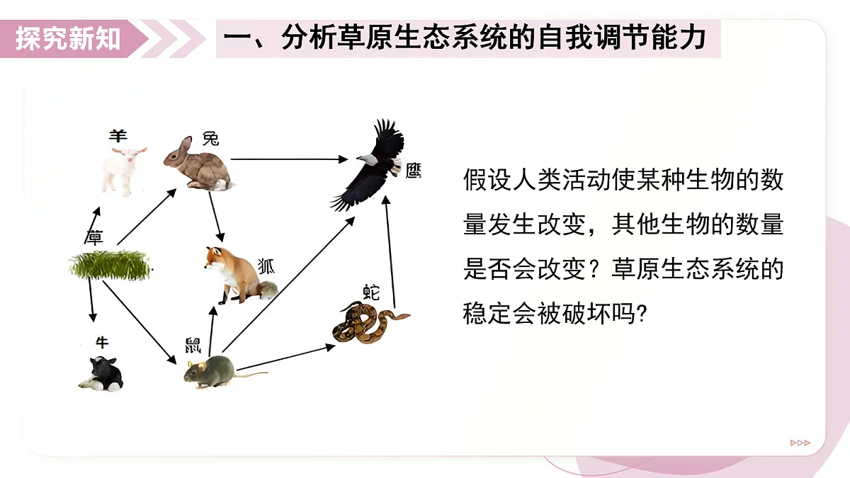 17278704第6页