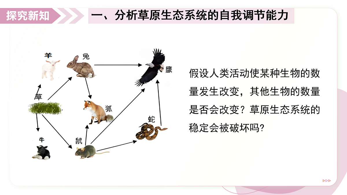 17278704第6页