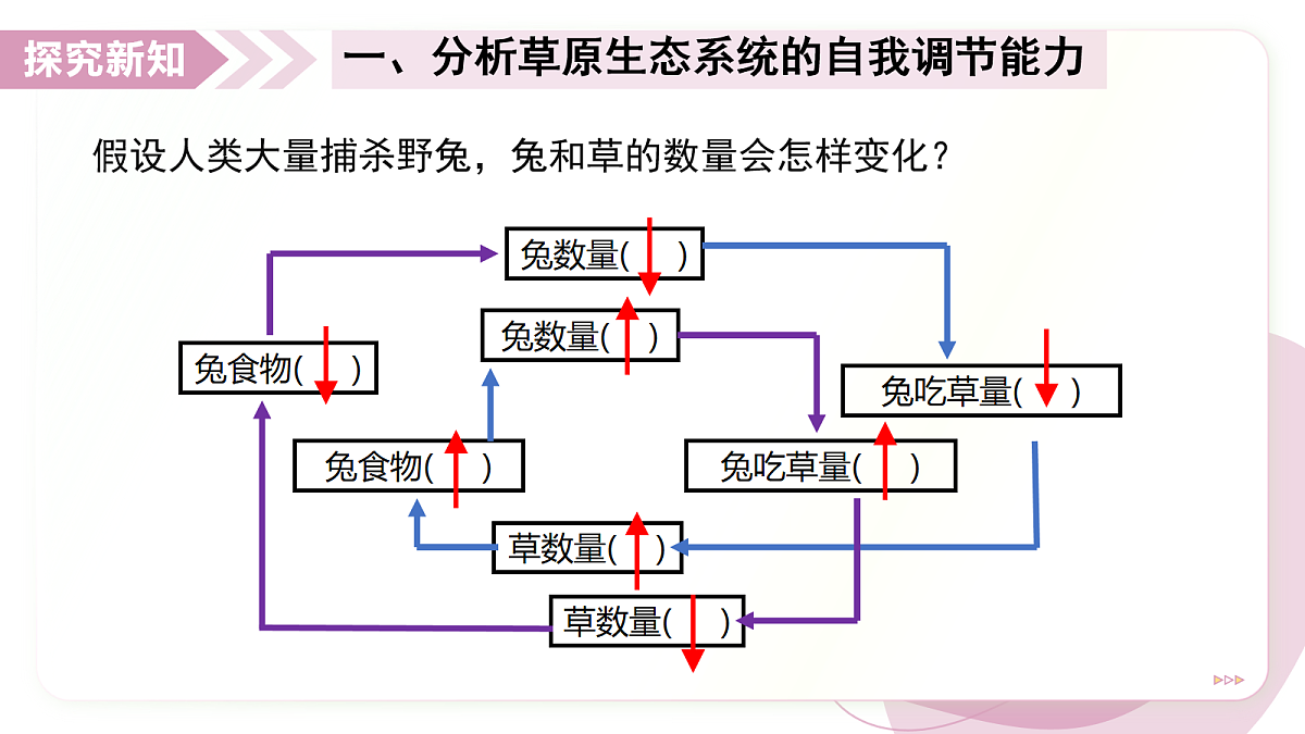 17278704第7页