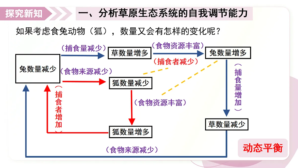 17278704第8页