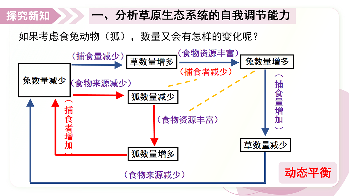 17278704第8页