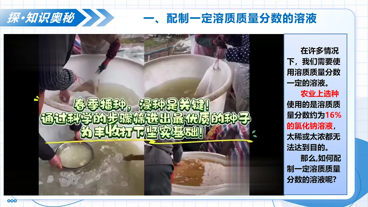 17278719第7页