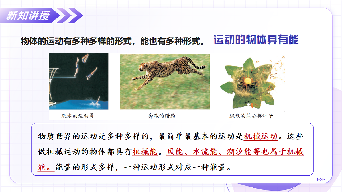 17278832第8页